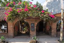 17 Best Restaurants in San Pancho, Mexico (2024)