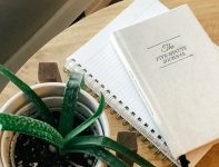 A Return to Writing – The Blissful Mind