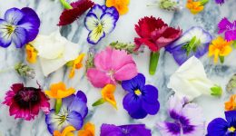 Benefits of Botanicals for Sleep and Inflammation