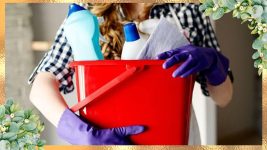 Clean Mama Or FlyLady (Which Cleaning Routine Is Your Perfect Match)