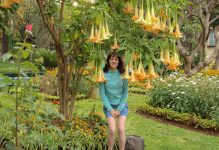 Madeira Island Attractions – Gardens, Sea-Cliffs, Wine & Toboggan Rides