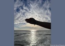 Reflecting God – Ignatian Spirituality