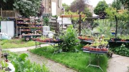 Your Urban Garden Has 6X Carbon Footprint Than Conventional Farming