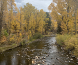 Top 5 Hikes in Aspen